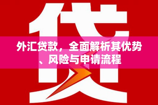 北门外汇贷款，全面解析其优势、风险与申请流程