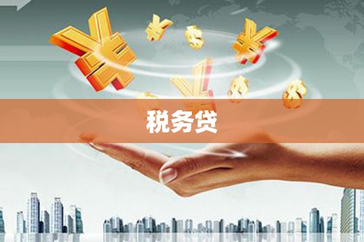 北门税务贷