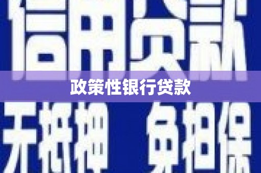 北门政策性银行贷款