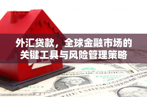 北门外汇贷款，全球金融市场的关键工具与风险管理策略
