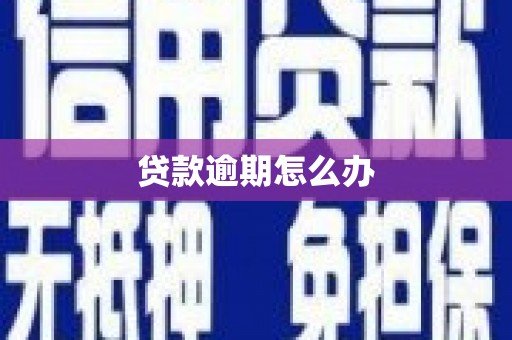 北门贷款逾期怎么办