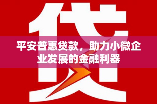 北门平安普惠贷款，助力小微企业发展的金融利器
