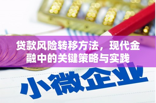 北门贷款风险转移方法，现代金融中的关键策略与实践