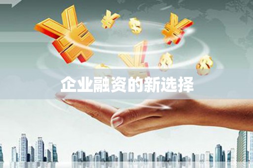 北门企业融资的新选择