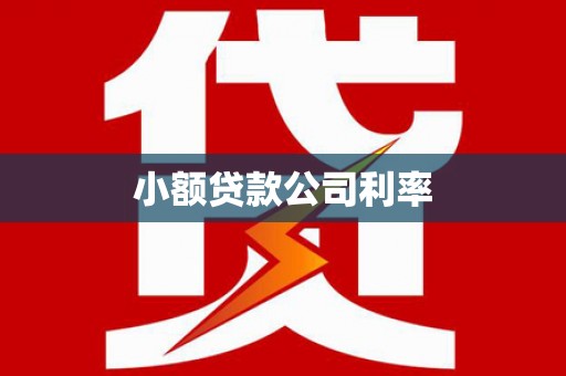 北门小额贷款公司利率