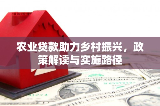 北门农业贷款助力乡村振兴，政策解读与实施路径