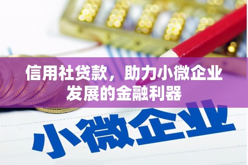 北门信用社贷款，助力小微企业发展的金融利器