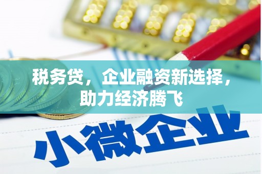 北门税务贷，企业融资新选择，助力经济腾飞