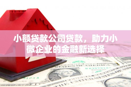 北门小额贷款公司贷款，助力小微企业的金融新选择