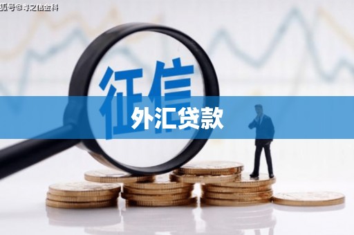 北门外汇贷款