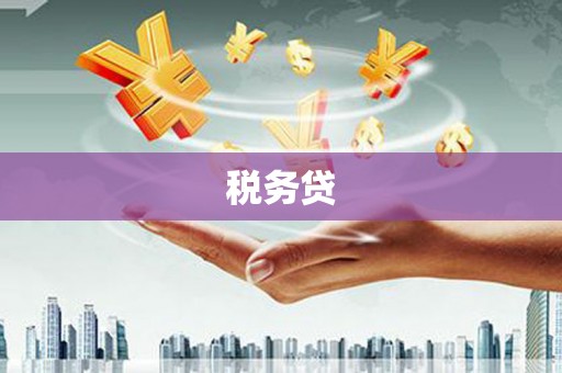 北门税务贷