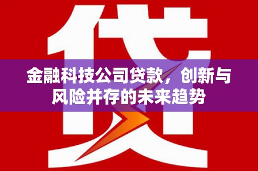北门金融科技公司贷款，创新与风险并存的未来趋势