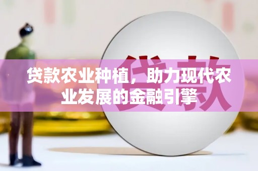 北门贷款农业种植，助力现代农业发展的金融引擎