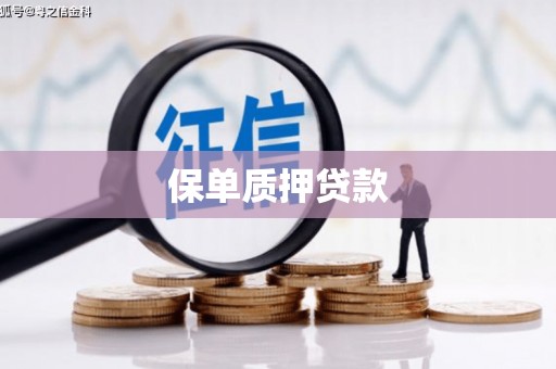 北门保单质押贷款