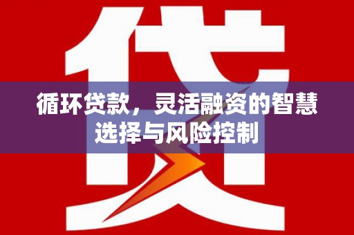 北门循环贷款，灵活融资的智慧选择与风险控制