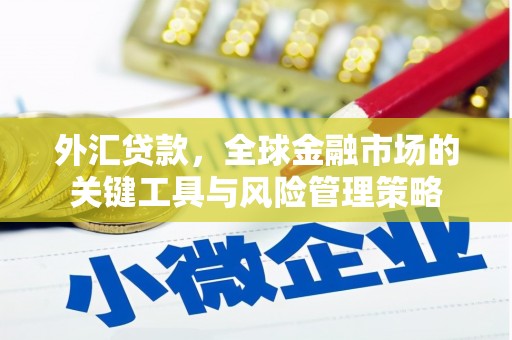 北门外汇贷款，全球金融市场的关键工具与风险管理策略