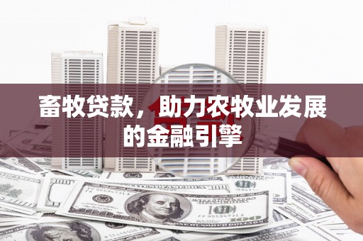北门畜牧贷款，助力农牧业发展的金融引擎