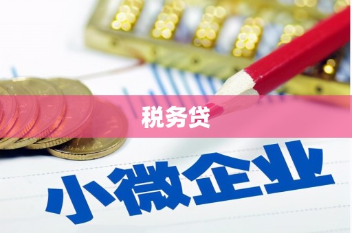 北门税务贷