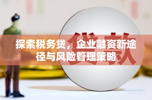 北门探索税务贷，企业融资新途径与风险管理策略