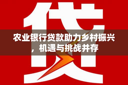 北门农业银行贷款助力乡村振兴，机遇与挑战并存