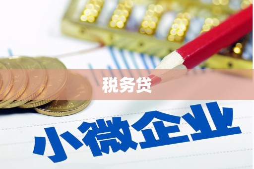 北门税务贷