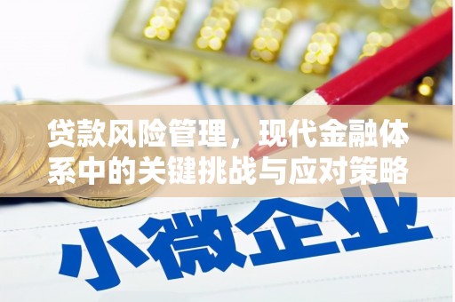 北门贷款风险管理，现代金融体系中的关键挑战与应对策略