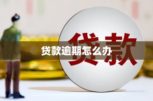 北门贷款逾期怎么办