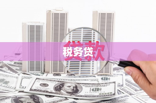 北门税务贷
