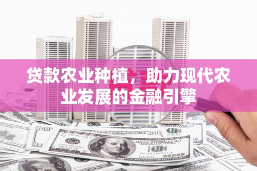北门贷款农业种植，助力现代农业发展的金融引擎