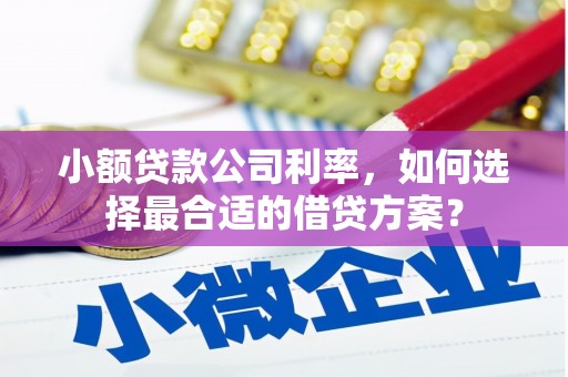 北门小额贷款公司利率，如何选择最合适的借贷方案？