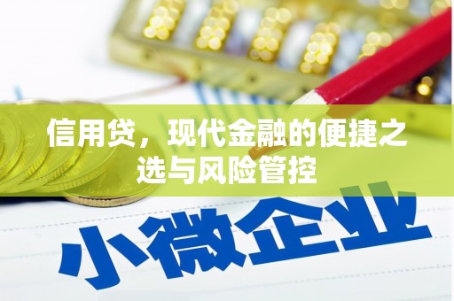 北门信用贷，现代金融的便捷之选与风险管控