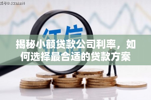 北门揭秘小额贷款公司利率，如何选择最合适的贷款方案