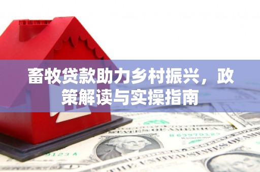 北门畜牧贷款助力乡村振兴，政策解读与实操指南