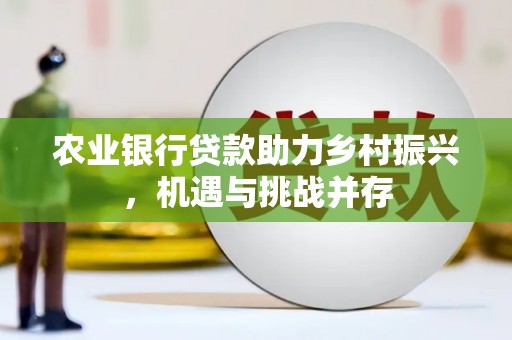 北门农业银行贷款助力乡村振兴，机遇与挑战并存