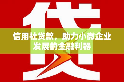 北门信用社贷款，助力小微企业发展的金融利器