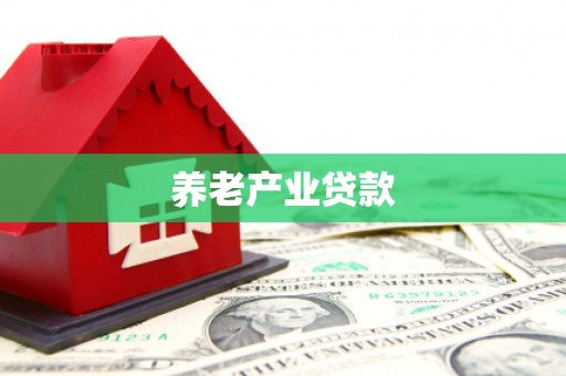 北门养老产业贷款