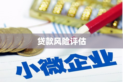 北门贷款风险评估