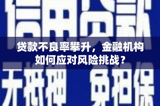 北门贷款不良率攀升，金融机构如何应对风险挑战？