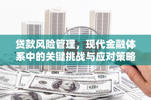 北门贷款风险管理，现代金融体系中的关键挑战与应对策略