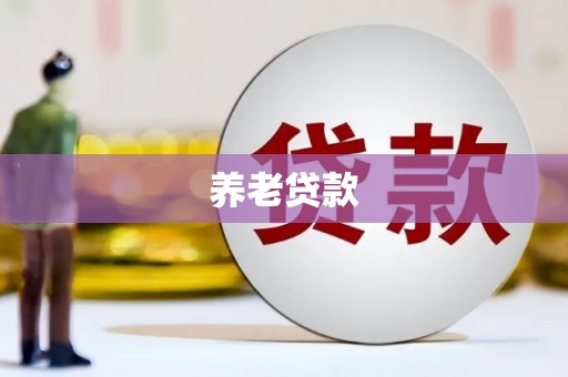 北门养老贷款