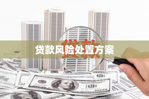 北门贷款风险处置方案