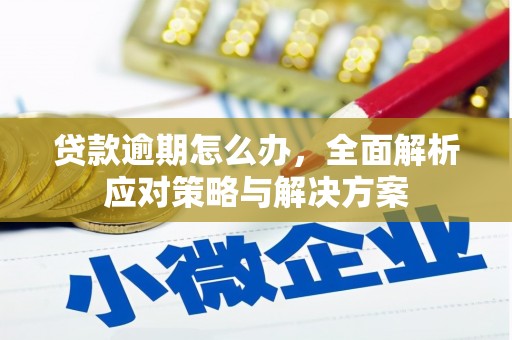 北门贷款逾期怎么办，全面解析应对策略与解决方案