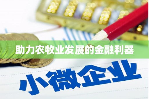 北门助力农牧业发展的金融利器