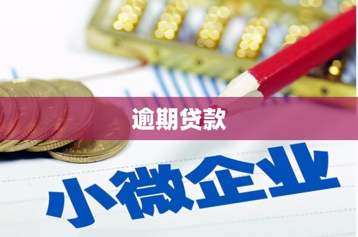 北门逾期贷款